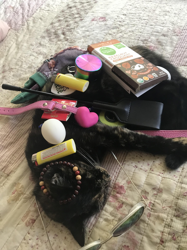 We figured how much stuff we could stack on the cat before he woke up