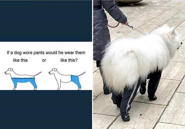 We finally have our answer