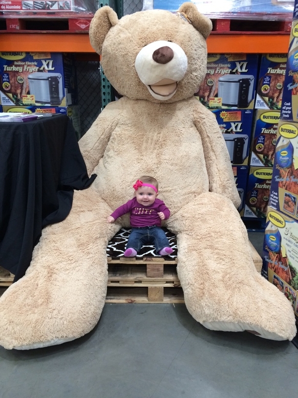 We found the Costco bear as well daughter thought it was the coolest thing she wouldnt stop smiling or looking at it