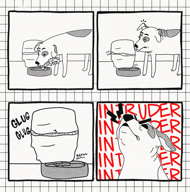 We got my dog one of those self refilling water bowls Its fine for the most part but he still doesnt quite trust it 