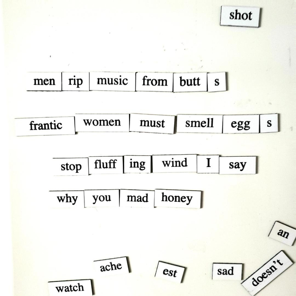 We have those poetry magnets on our fridge my partner is having fun with them
