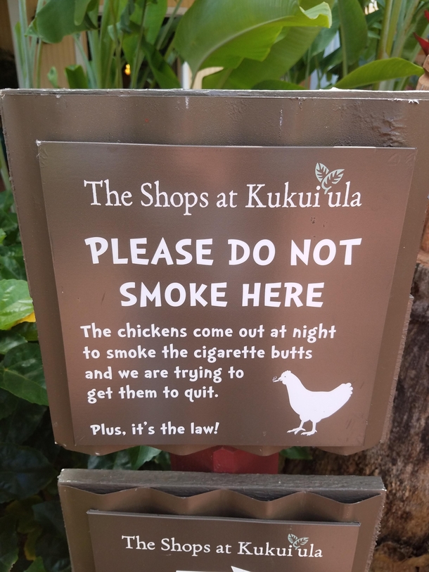 We have to help the chickens quit