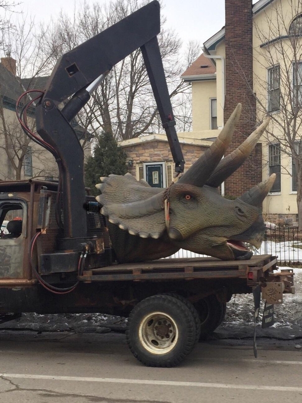 We must stop the senseless slaughter of these gentle giants