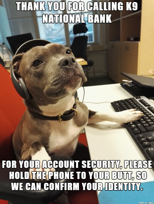 We offer great short-term interest SQUIRREL