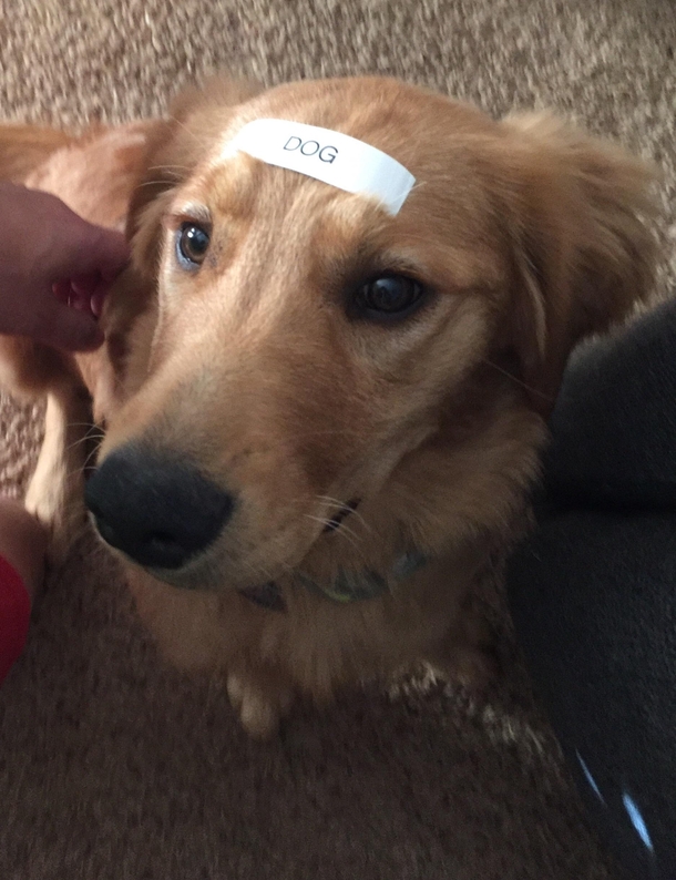 We recently bought a label maker