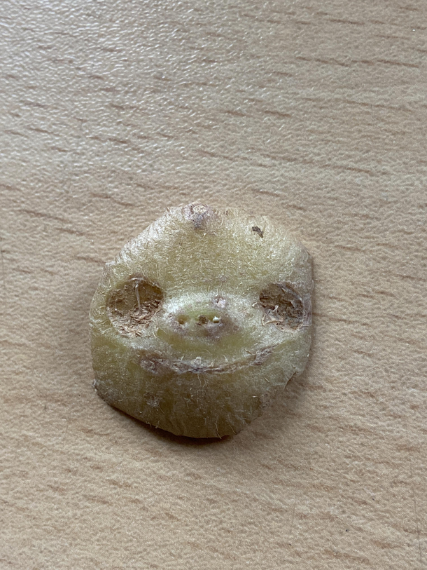 We thought this bit of potato looks like a sloth