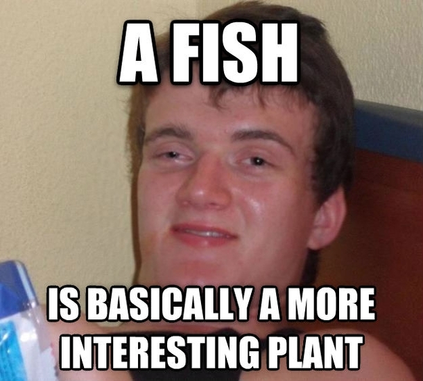 we were arguing over what kind of pet to get my response when he suggested a fish