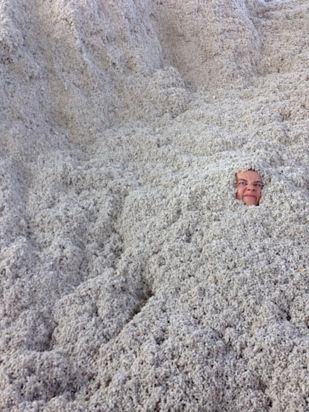 We were at a cotton farm this weekend This pretty much sums it up