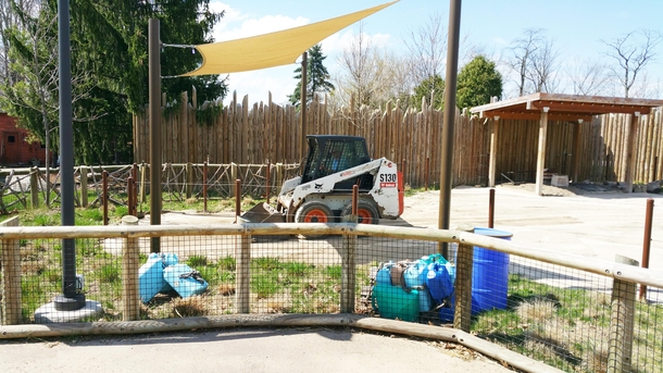 We were at the zoo when my wife yelled Look a bobcat