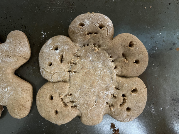 We were told to make festive christmas cookies cousin misunderstood the assignment