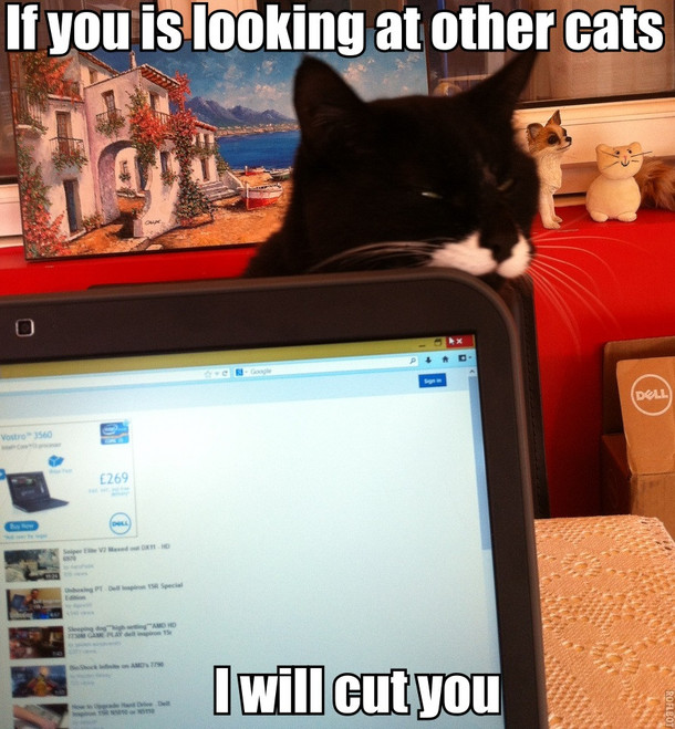 We wouldnt want that now would we hoomin
