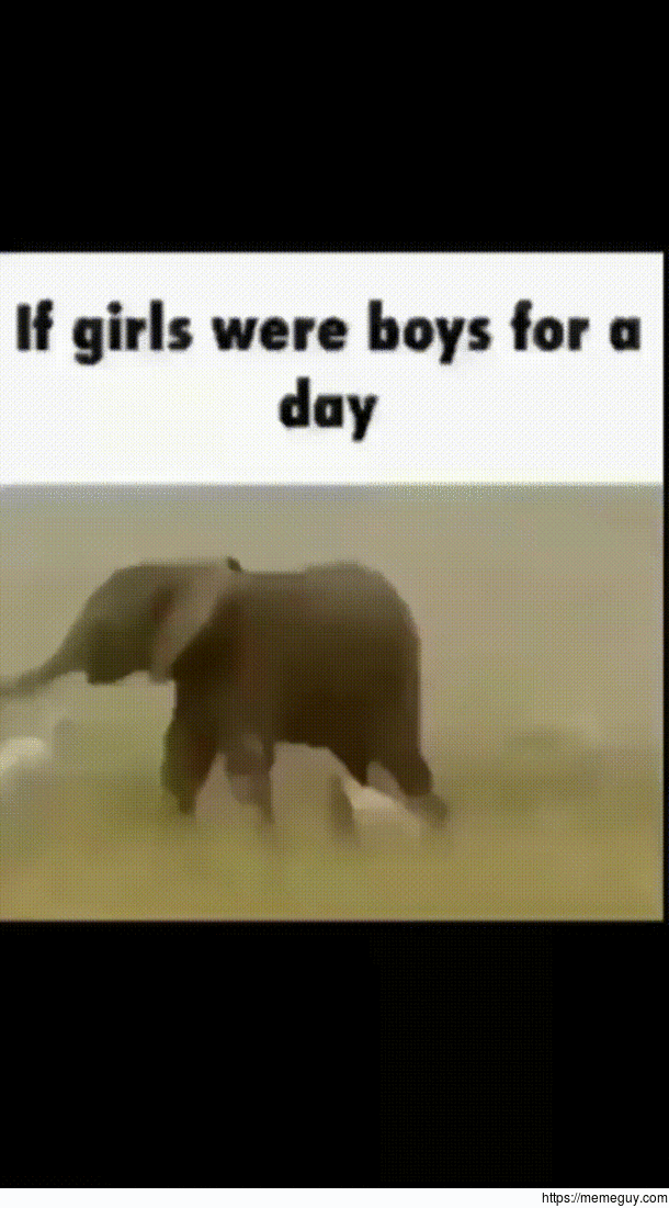 Weee weee weeeeeee