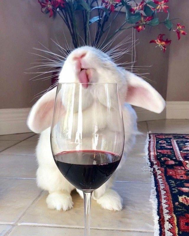 Weekend is coming