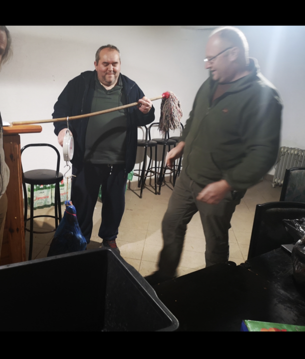Weighing meat on a mop in my local croatian hunting club