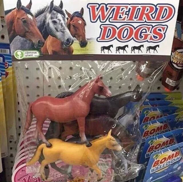 Weird indeed
