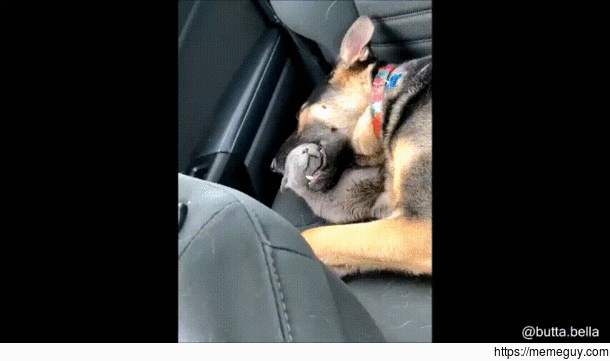weird way to sleep but ok