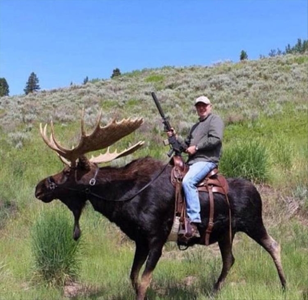 Welcome to Canada eh