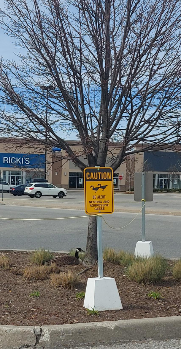 Welcome to Canada folks