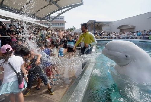 WELCOME TO SEA WORLD YOU LITTLE FUCKERS
