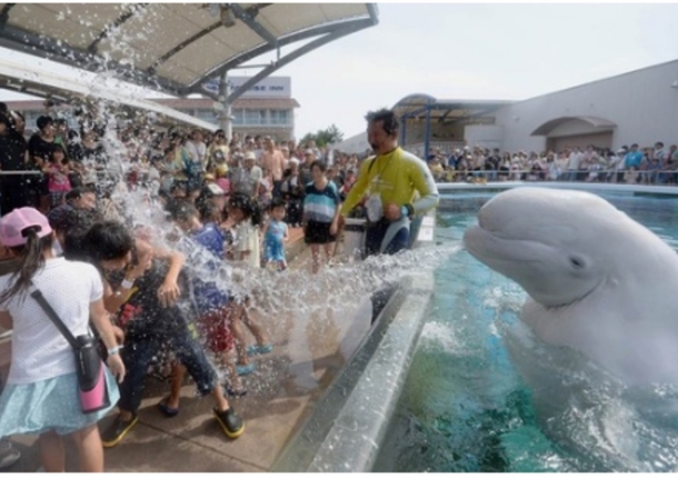 Welcome to Sea World you little fuckers