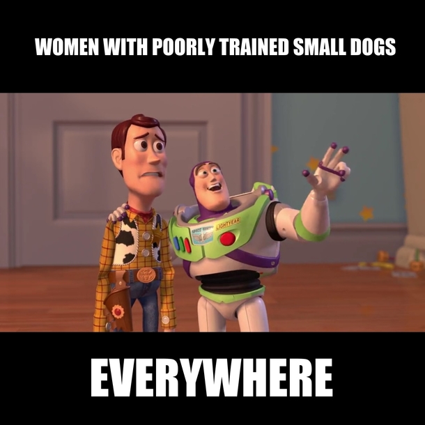 Welcome to the City