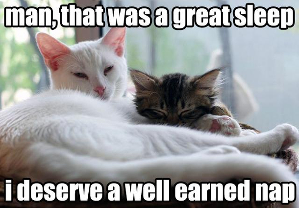 Well earned nap