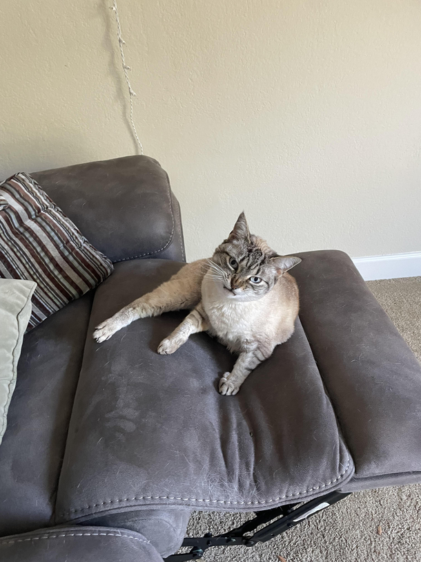 Well excuse us for checking in on you your highness