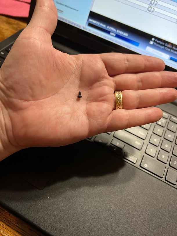 Well I fixed my laptop It only produced one pocket screw