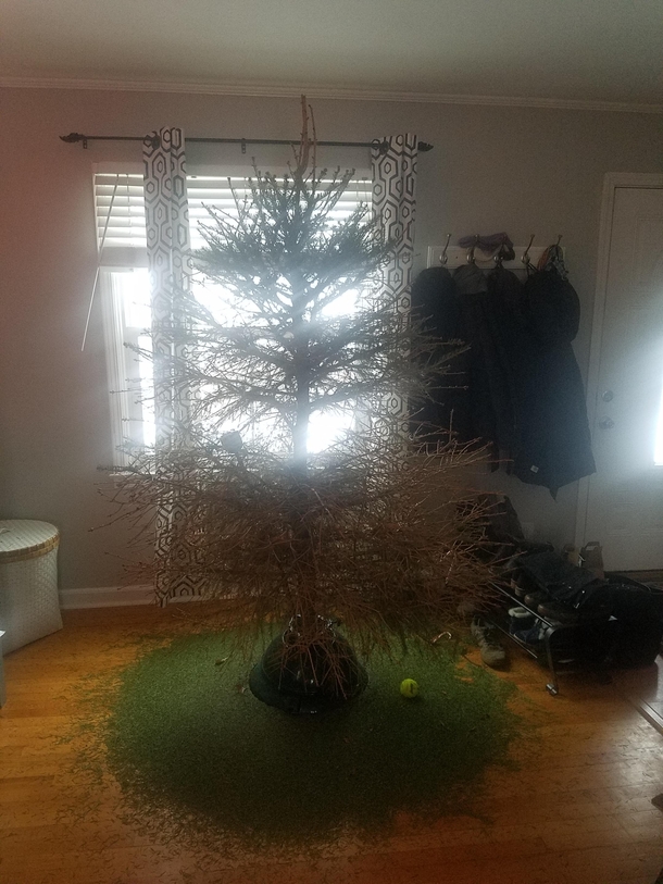 Well i got the ornaments and lights off