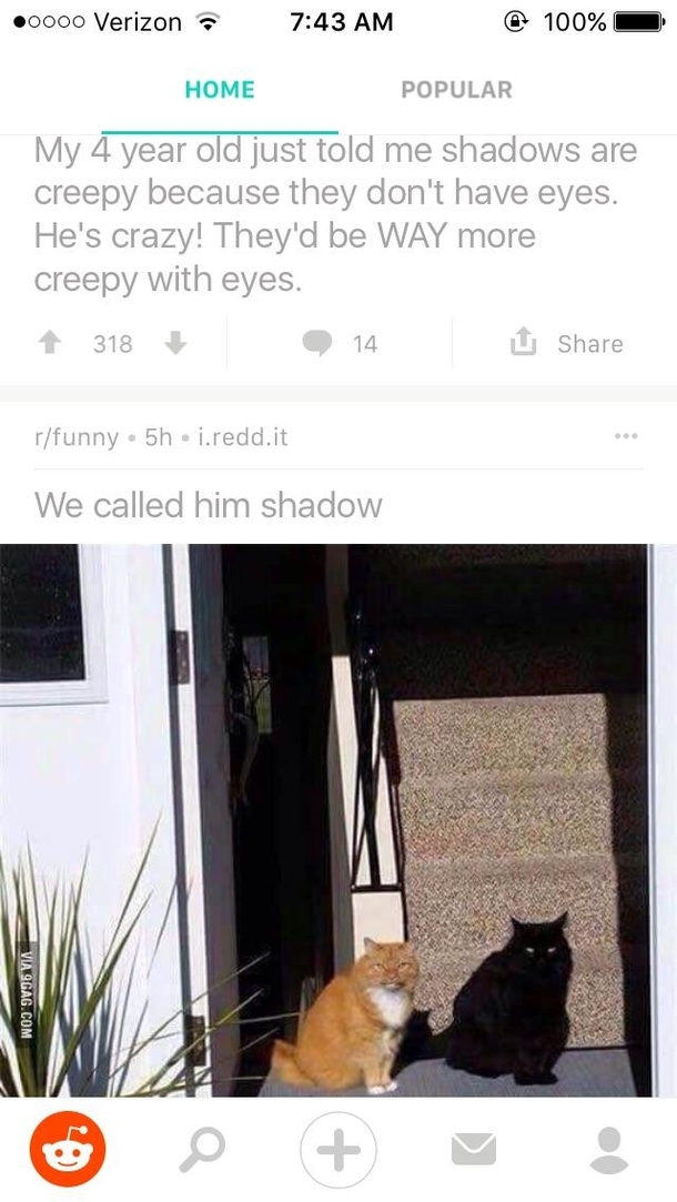 Well shit
