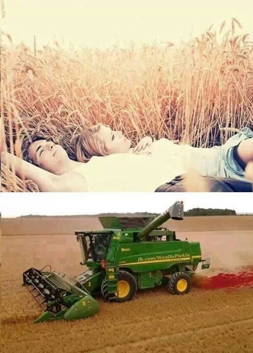 Well that escalated quickly