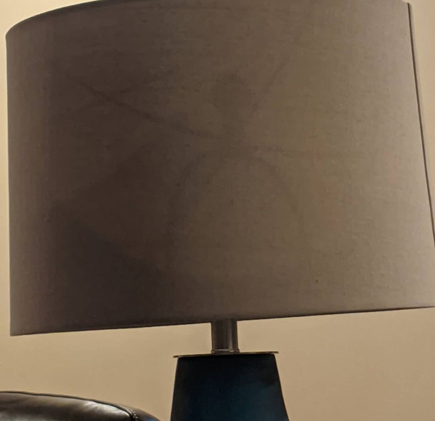 well that was a horrifying way to realize that lamp insides can look like spiders in the right lighting and also that my boyf would leave me to spider if that had been the case