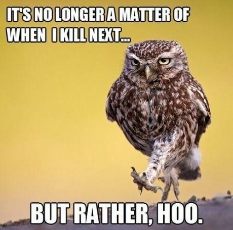Well Thats owl folks