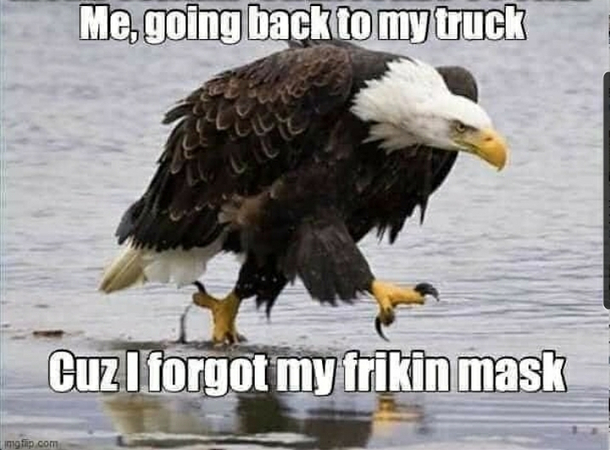 Well the car but same walk of shame
