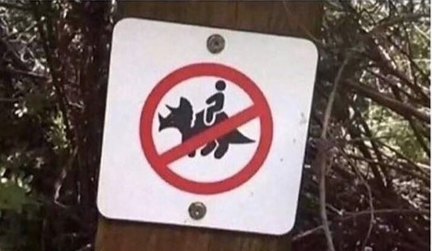 Well the weekend plan is ruined