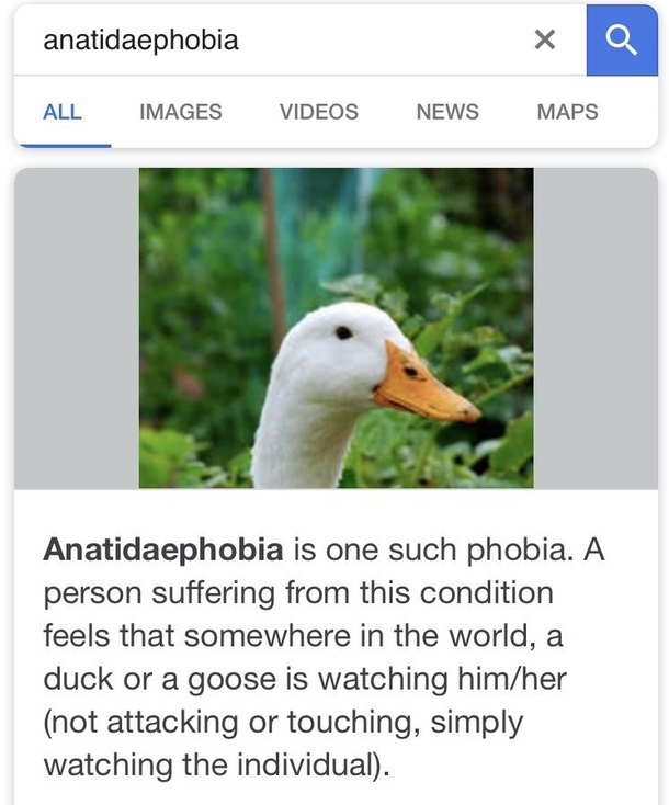 Well this is  interesting 
