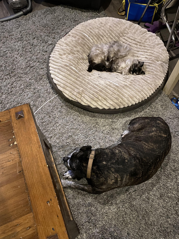 Well we know who is in charge here