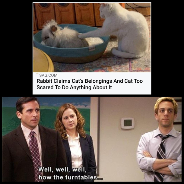 Well Well Well