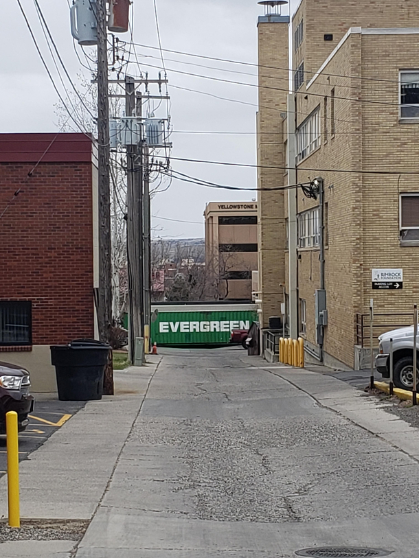 Well well well Look whos blocking the alley 