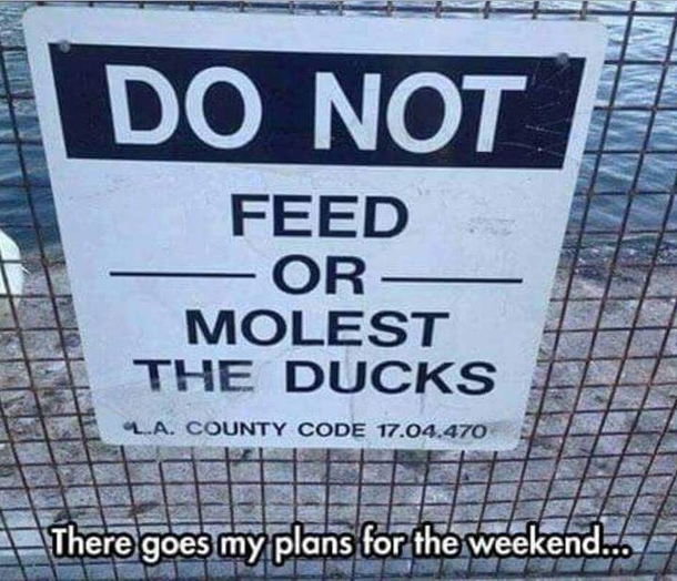 Well what am I suppose to do on the weekends now