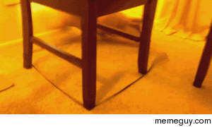 Wendell the Corgi Chasing his Leash