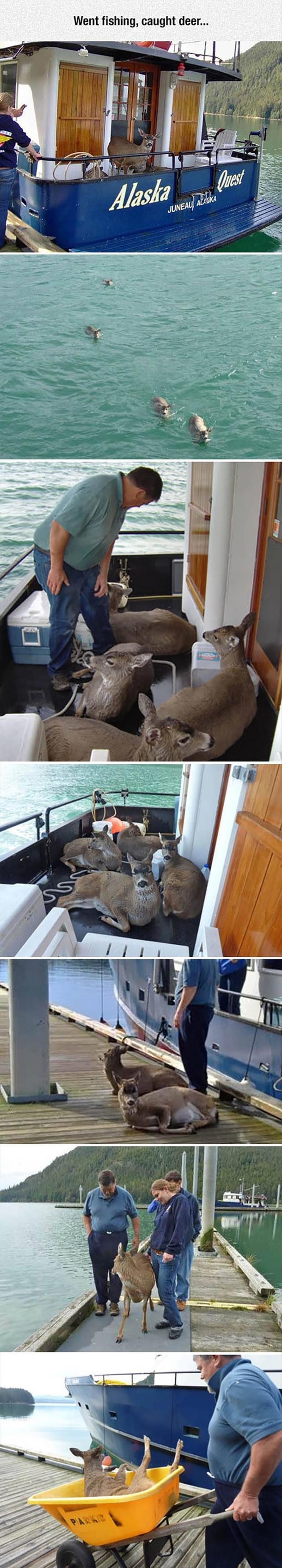 Went Fishing Caught Deer