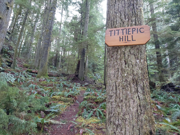 Went for a hike with some buddies next time Im taking my wife instead