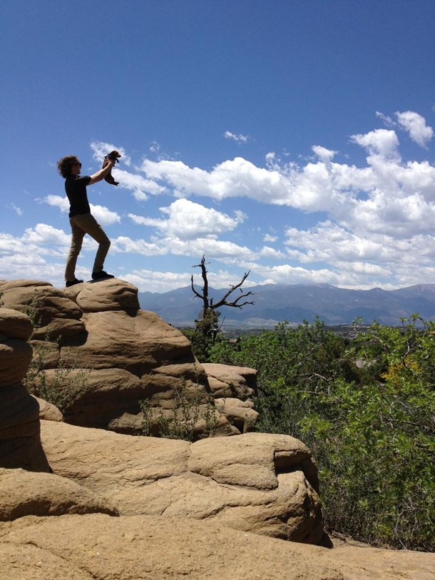 went on a hike when we had to babysit my parents miniature dachsund then this happened the circle of life