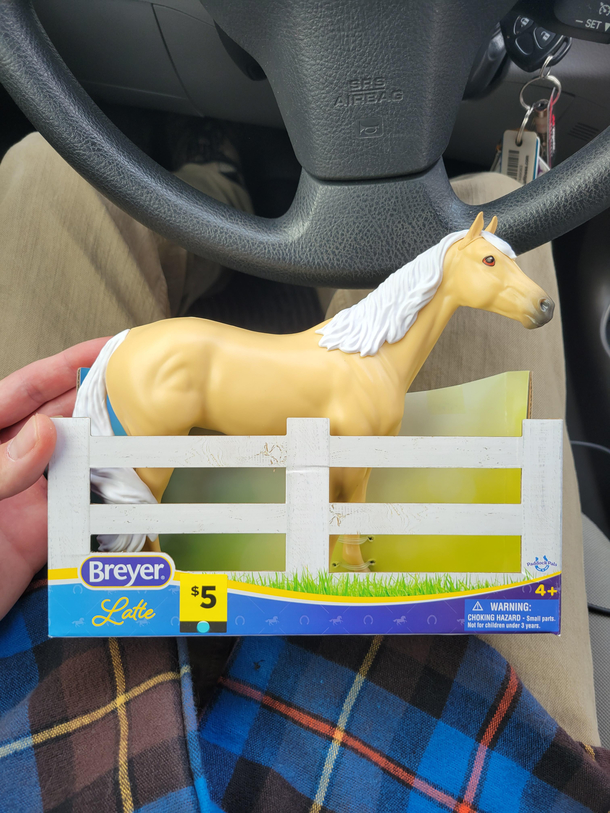 Went out to run errands asked my wife if she wanted me to grab her anything As a joke she said a horse Everyone meet Latte