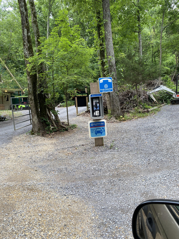 Went to a safari park but never expected to see one of THESE rare creatures in the wild