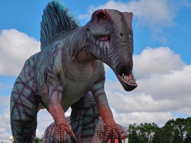Went to an animatronic dinosaur drive through with my family and found Phteven the Phpinosaurus