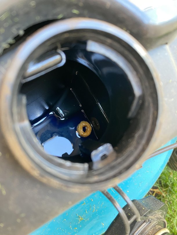 Went to fill up the gas tank and noticed my son has been feeding the lawn mower