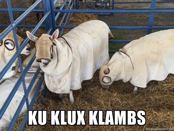 Went to the county fair Lots of Confederate flags flying oh and also