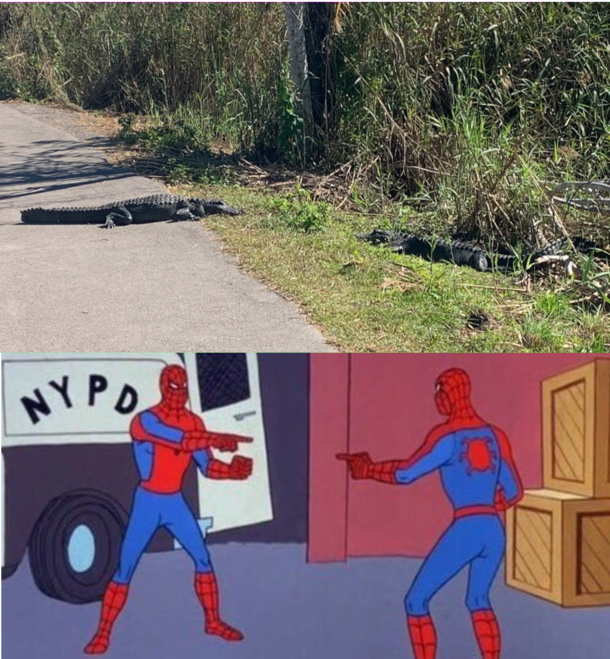 Went to the Everglades yesterday for my birthday and this was my first thought